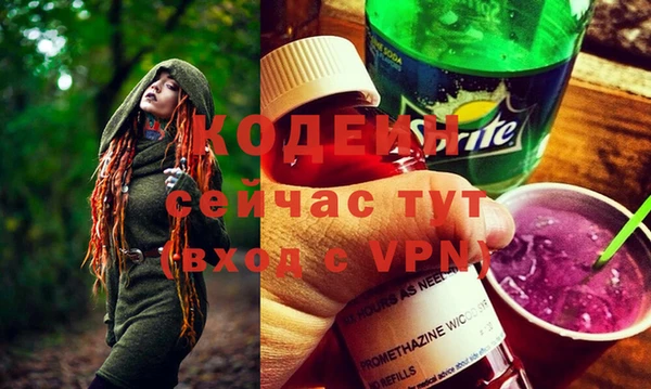 крисы Новодвинск
