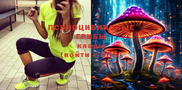 крисы Новодвинск