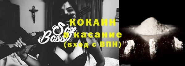крисы Новодвинск