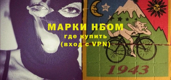 крисы Новодвинск