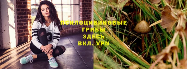 крисы Новодвинск