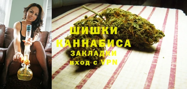 крисы Новодвинск