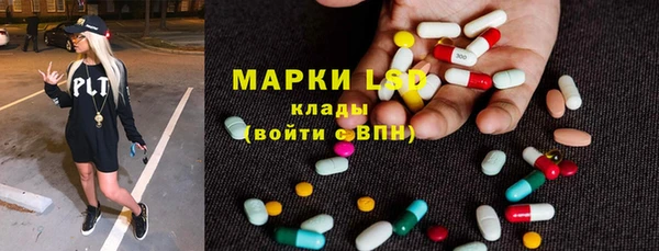 крисы Новодвинск