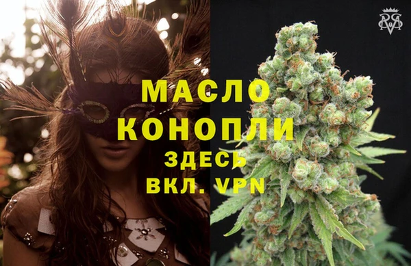 крисы Новодвинск