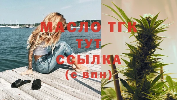 крисы Новодвинск