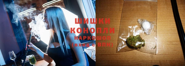крисы Новодвинск