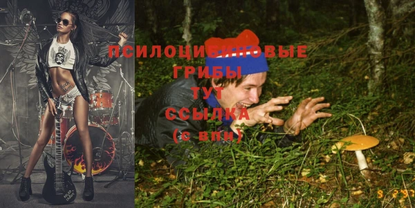 мескалин Новозыбков