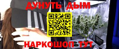мдпв Партизанск