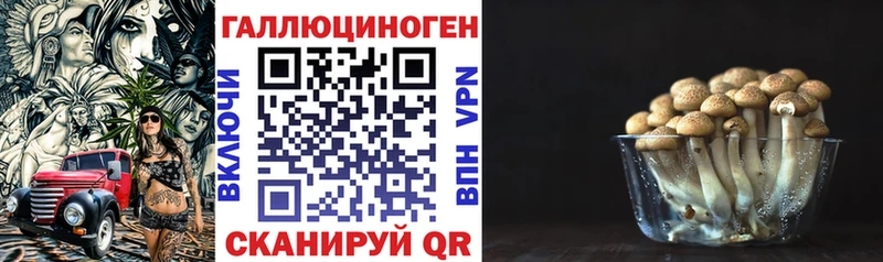 продажа наркотиков  Новочебоксарск  Галлюциногенные грибы прущие грибы 