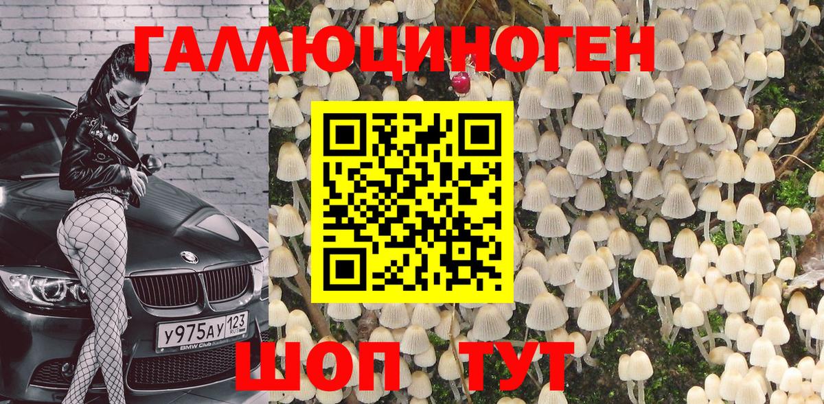 Новочебоксарск  Псилоцибиновые грибы Psilocybe  дарнет шоп  Вход с VPN 