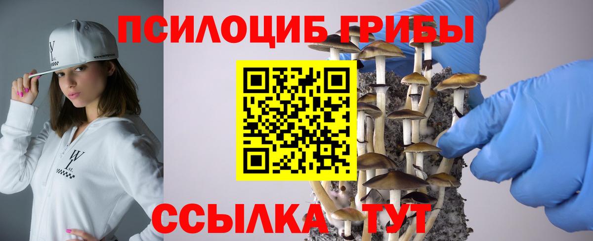 Псилоцибиновые грибы MAGIC MUSHROOMS Новочебоксарск